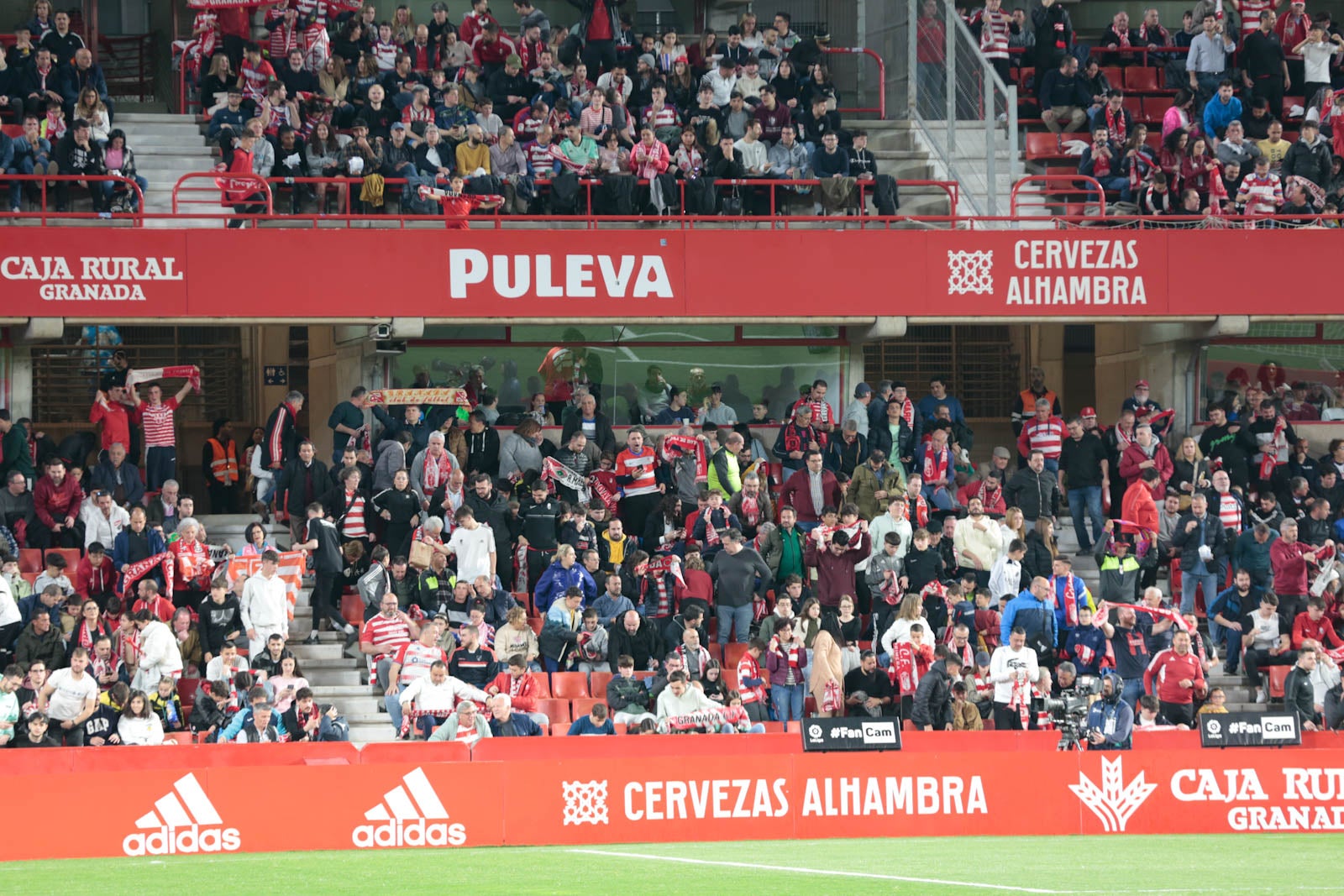 Encuéntrate en la grada en el Granada - Ponferradina