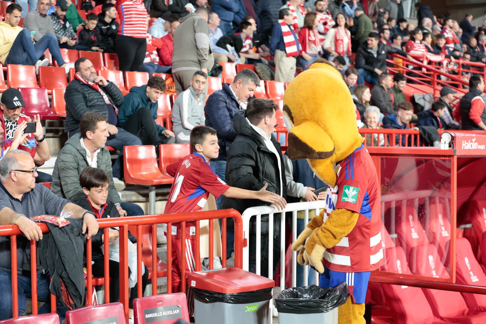 Encuéntrate en la grada en el Granada - Ponferradina