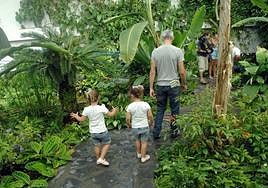 El mariposario tropical del Parque de las Ciencias en una imagen de archivo.