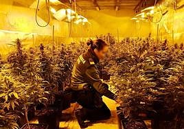 Intervención de los agentes en la cochera.