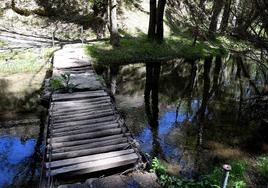 Un puente colgante en el paraje natural de Quéntar, en Granada.