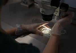 Trabajadora de la Unidad de Reproducción Humana del Virgen de las Nieves de Granada.