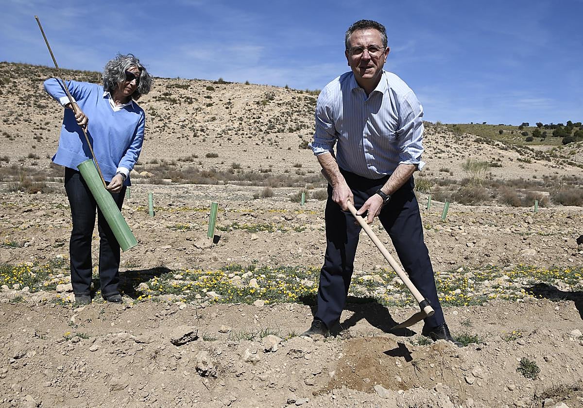 El presidente de Cajamar, Eduardo Baamonde, esta mañana, plantando árboles en la gran finca del paraje La Dehesa del Parque Natural Sierra María-Los Vélez.