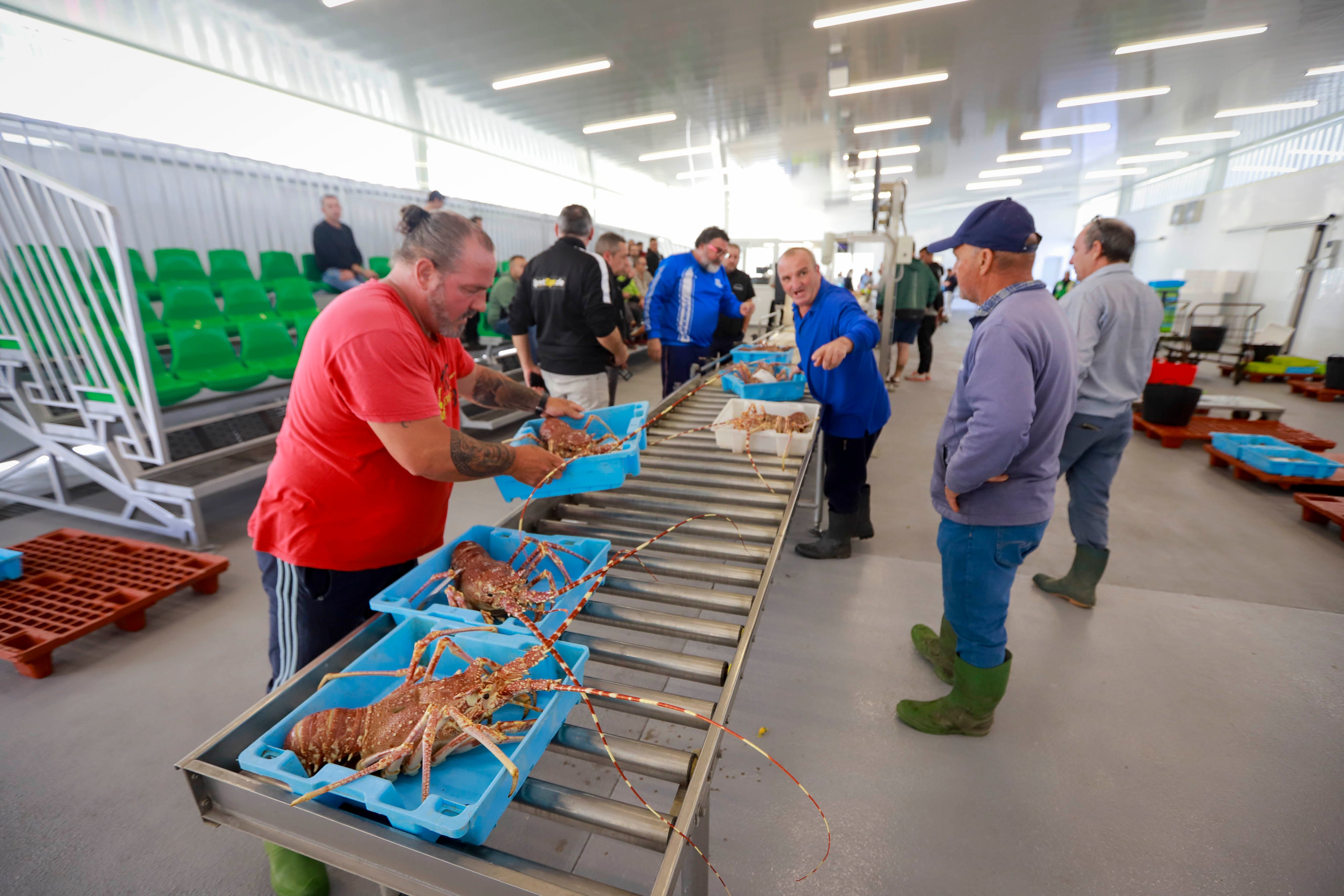 La nueva lonja de Motril desde dentro