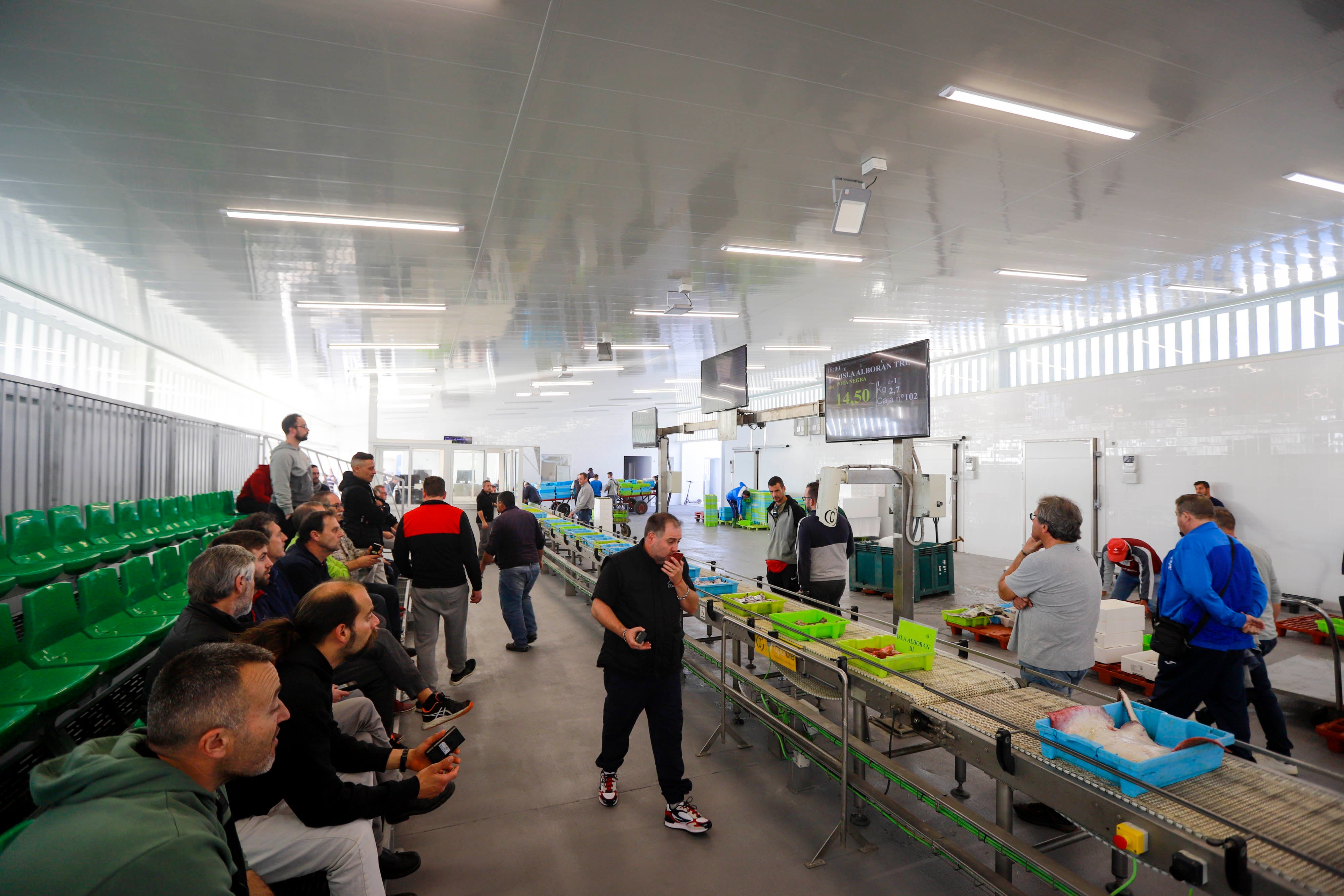 La nueva lonja de Motril desde dentro