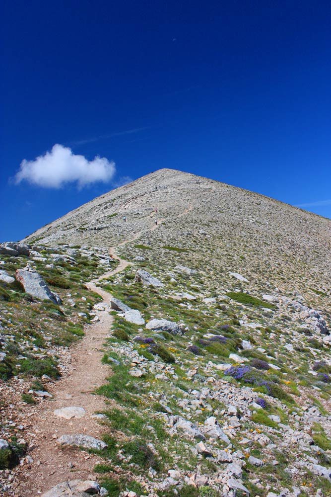 Imagen secundaria 2 - Arriba, el vértice geodésico de La Sagra; debajo, secuoyas cubiertas de nieve y sendero hacia la cima.