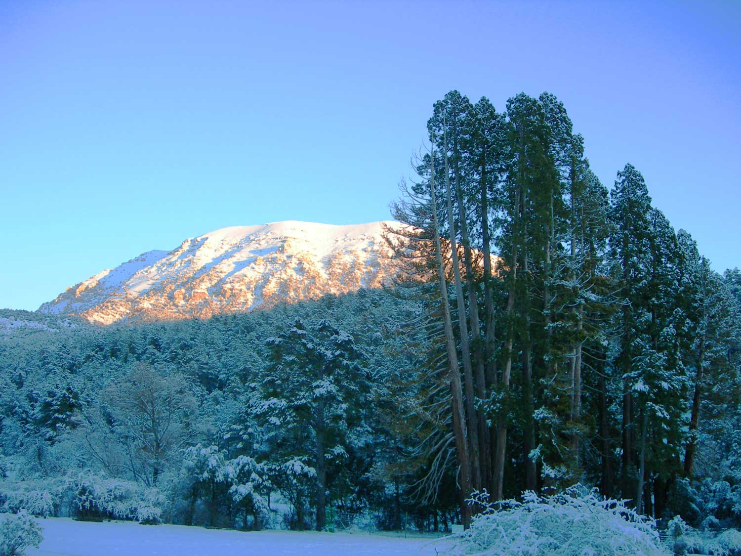 Imagen secundaria 1 - Arriba, el vértice geodésico de La Sagra; debajo, secuoyas cubiertas de nieve y sendero hacia la cima.