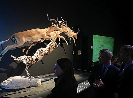 Presentada en París una escena de la exposición WOW del Parque de las Ciencia