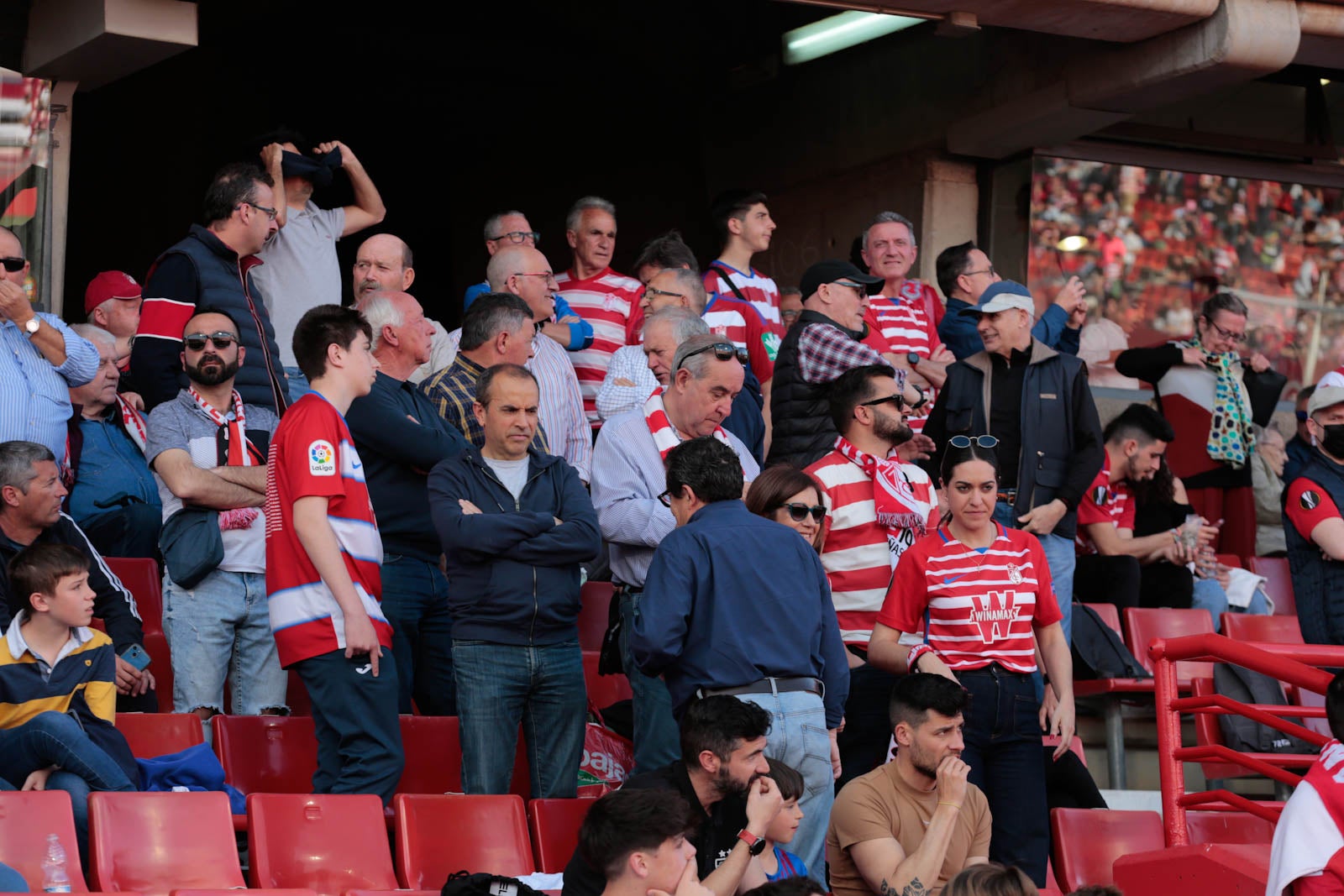 Encuéntrate en Los Cármenes en el Granada-Oviedo