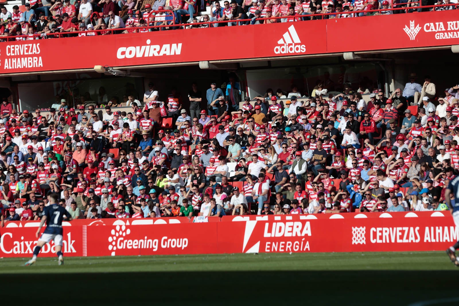 Encuéntrate en Los Cármenes en el Granada-Oviedo