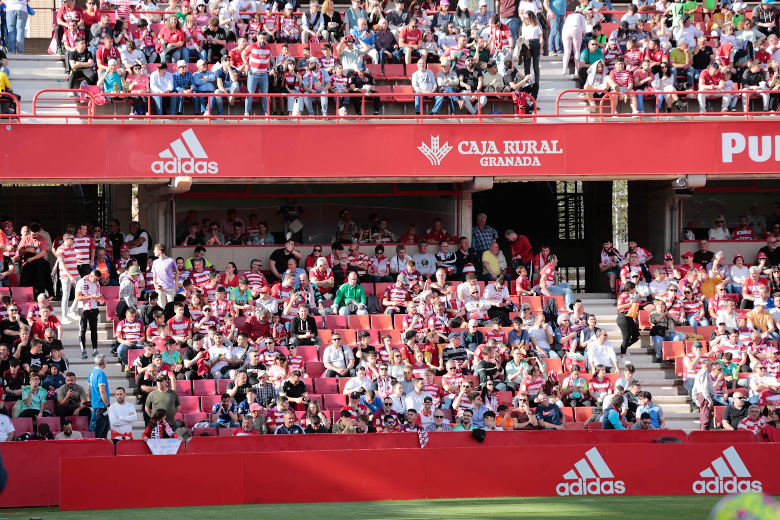 Encuéntrate en Los Cármenes en el Granada-Oviedo
