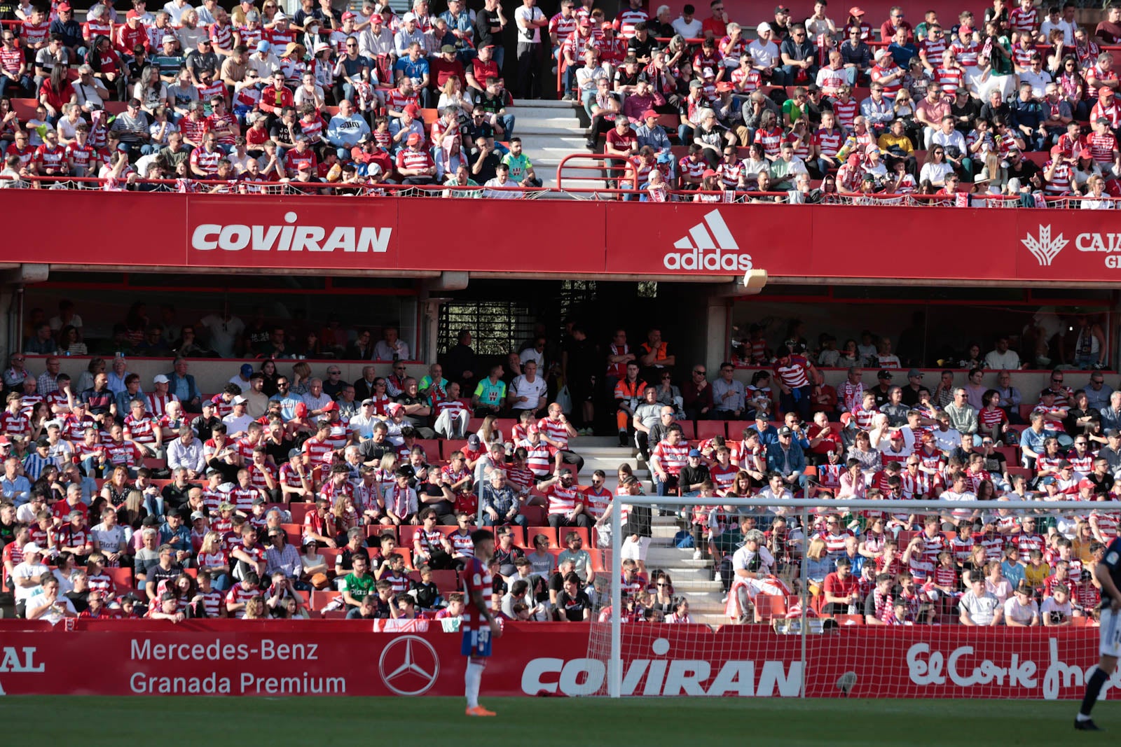 Encuéntrate en Los Cármenes en el Granada-Oviedo