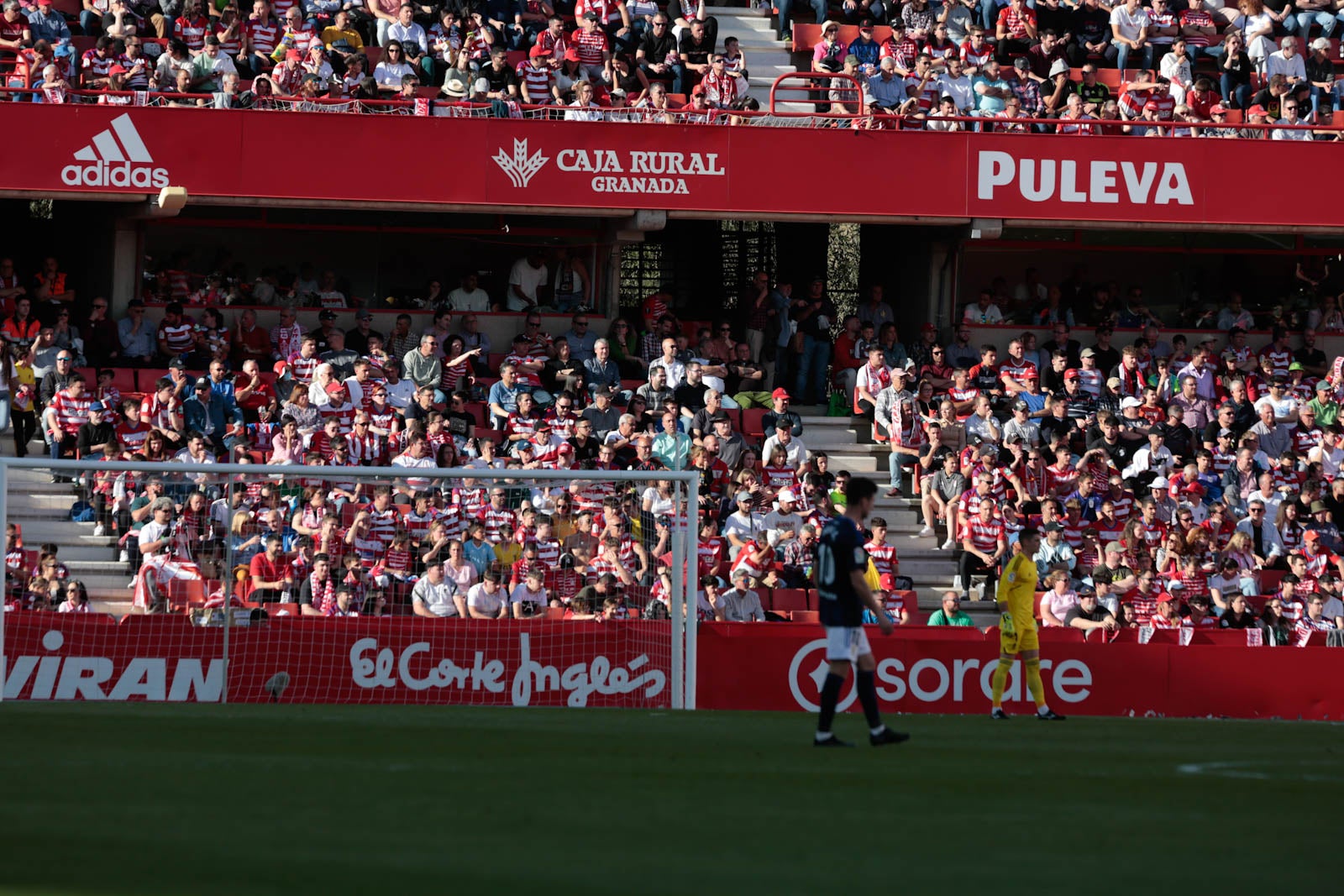 Encuéntrate en Los Cármenes en el Granada-Oviedo