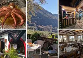 Cinco bares en la provincia de Granada para comer rico.