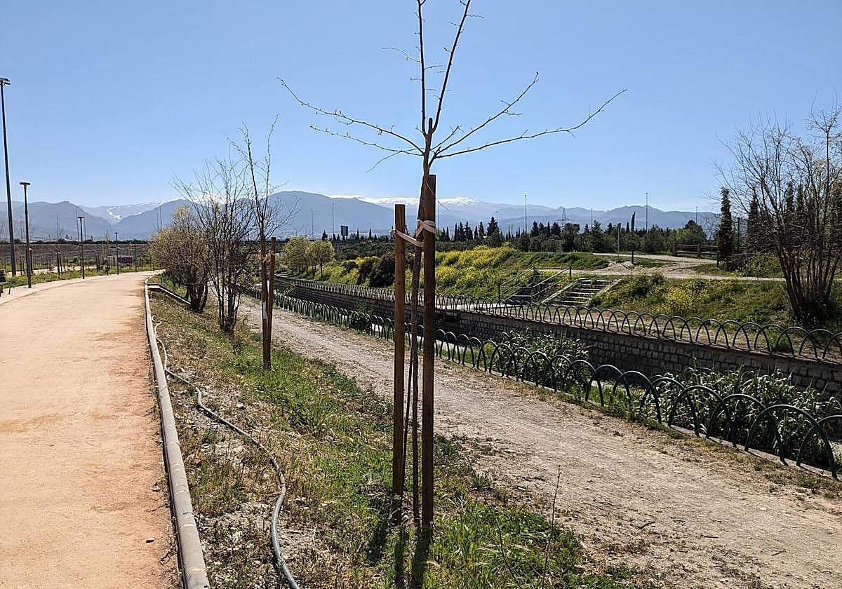 Zona del río Monachil en la que va a intervenir la CHG con fondos europeos.