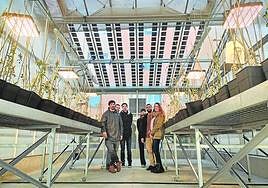 Investigadores de agrivoltaica de la Universidad de Jaén en el laboratorio.