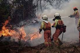Bomberos de Asturias trabajan en el incendio de la zona.