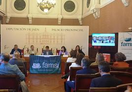 Asamblea de FAMSI en el Salón de Plenos de la Diputación de Jaén.