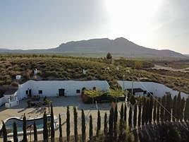 Las Cuevas Helena se encuentran a cuatro kilómetros de Benamaurel.