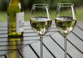 El vino de 4 euros que vende Lidl y es «uno de los mejores de España».