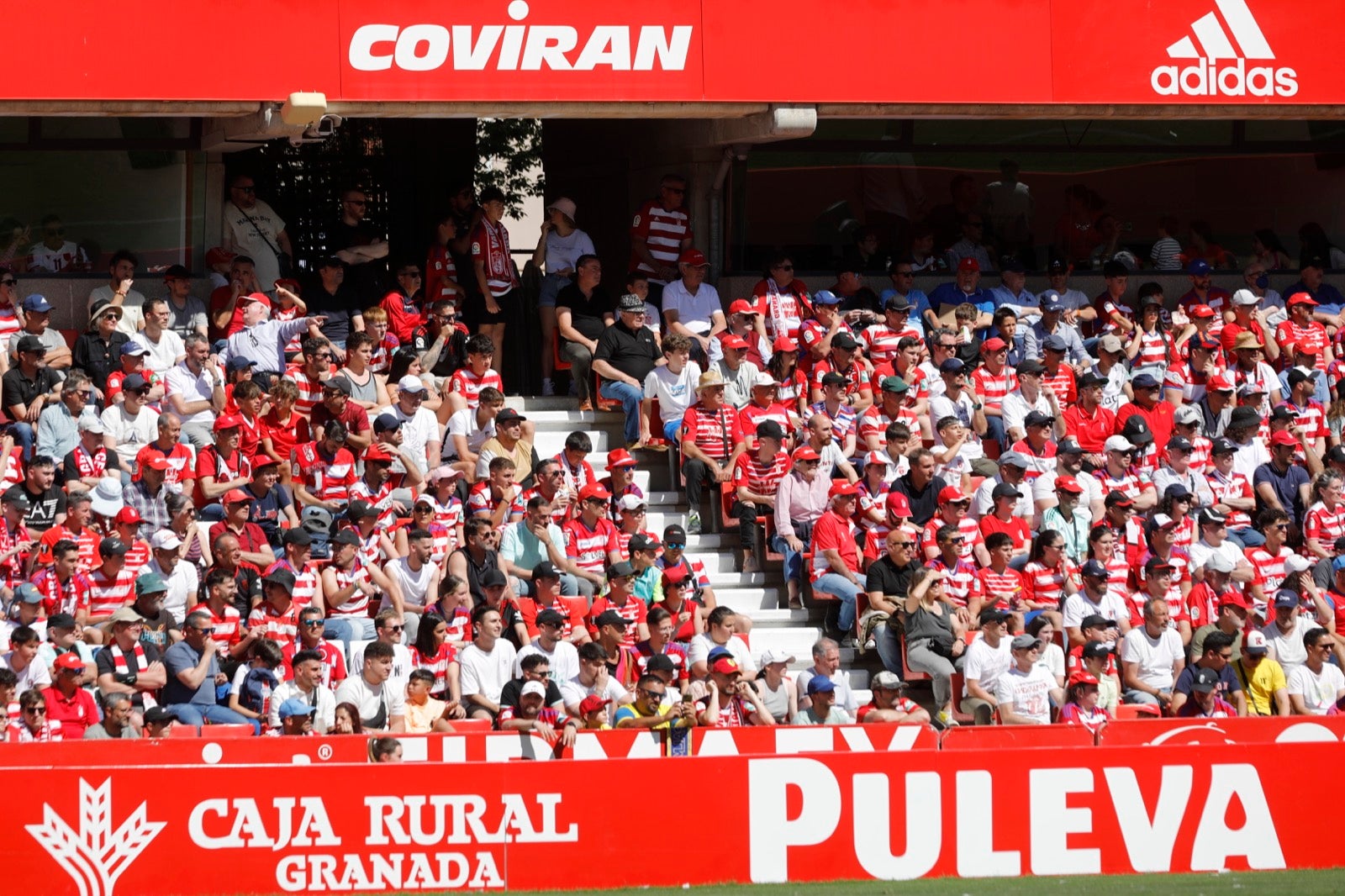 Encuéntrate en Los Cármenes en el Granada-Las Palmas