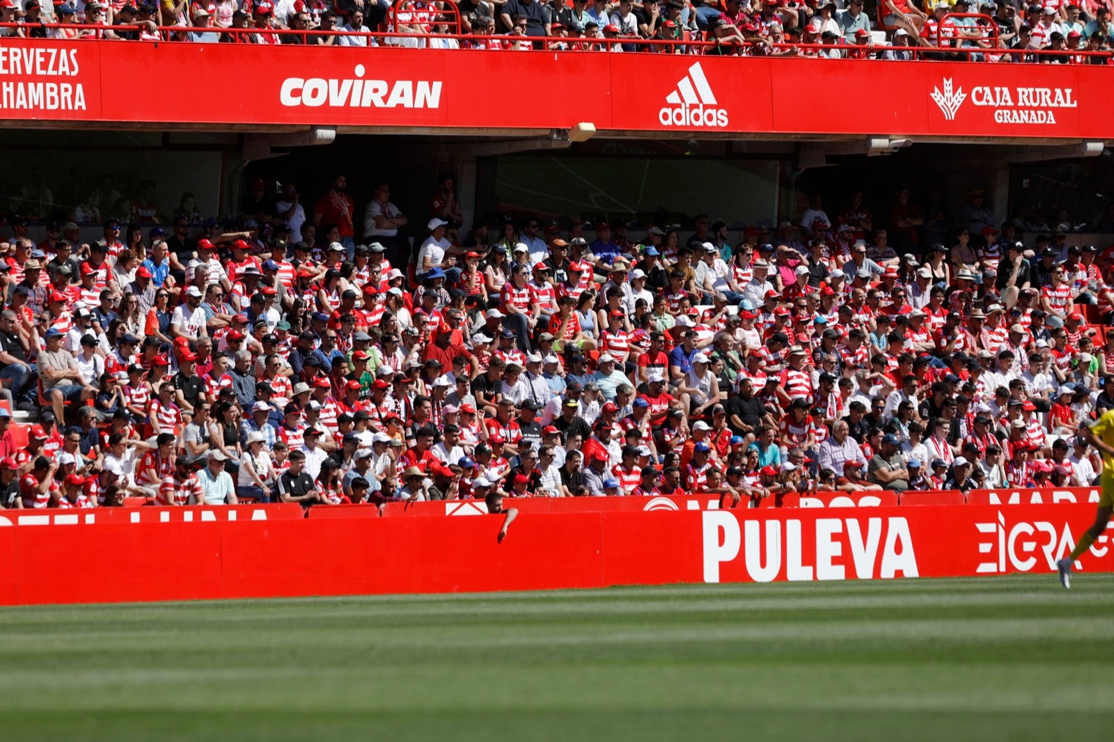Encuéntrate en Los Cármenes en el Granada-Las Palmas