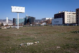 El menor fue apuñalado en un descampado del parque Tico Medina de Granada.