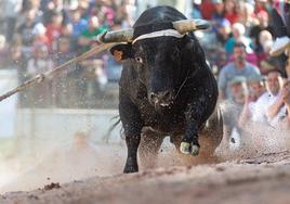 Imagen de archivo de las fiestas en el municipio.