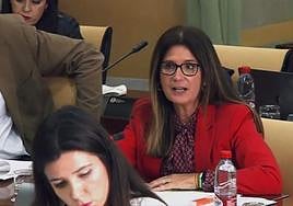 Imagen de archivo de Auxiliadora del Olmo.