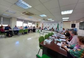 Almería y Granada evalúan el estudio del primer plan estratégico de hortalizas y frutas de invernadero