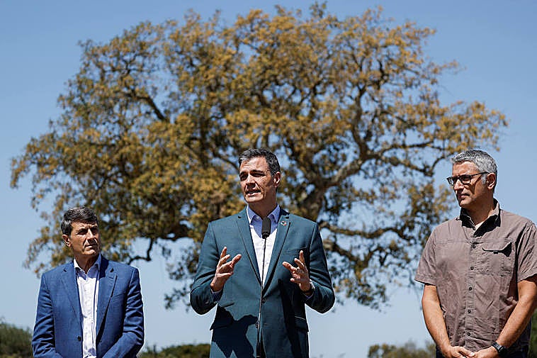 Pedro Sánchez, durante su intervención en la Estación Biológica de Doñana.