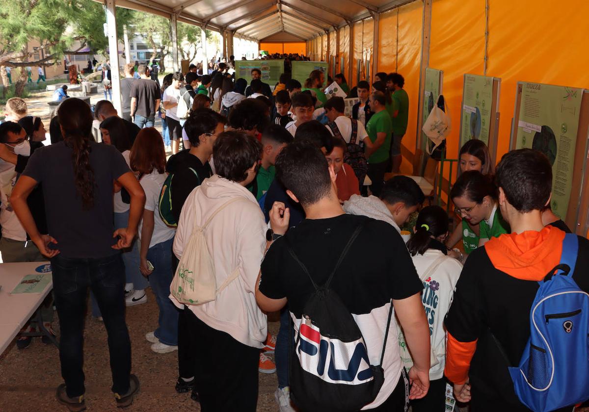 Alumnos de Primaria y Secundaria de la provincia, durante la primera jornada de AmBioBlitz.