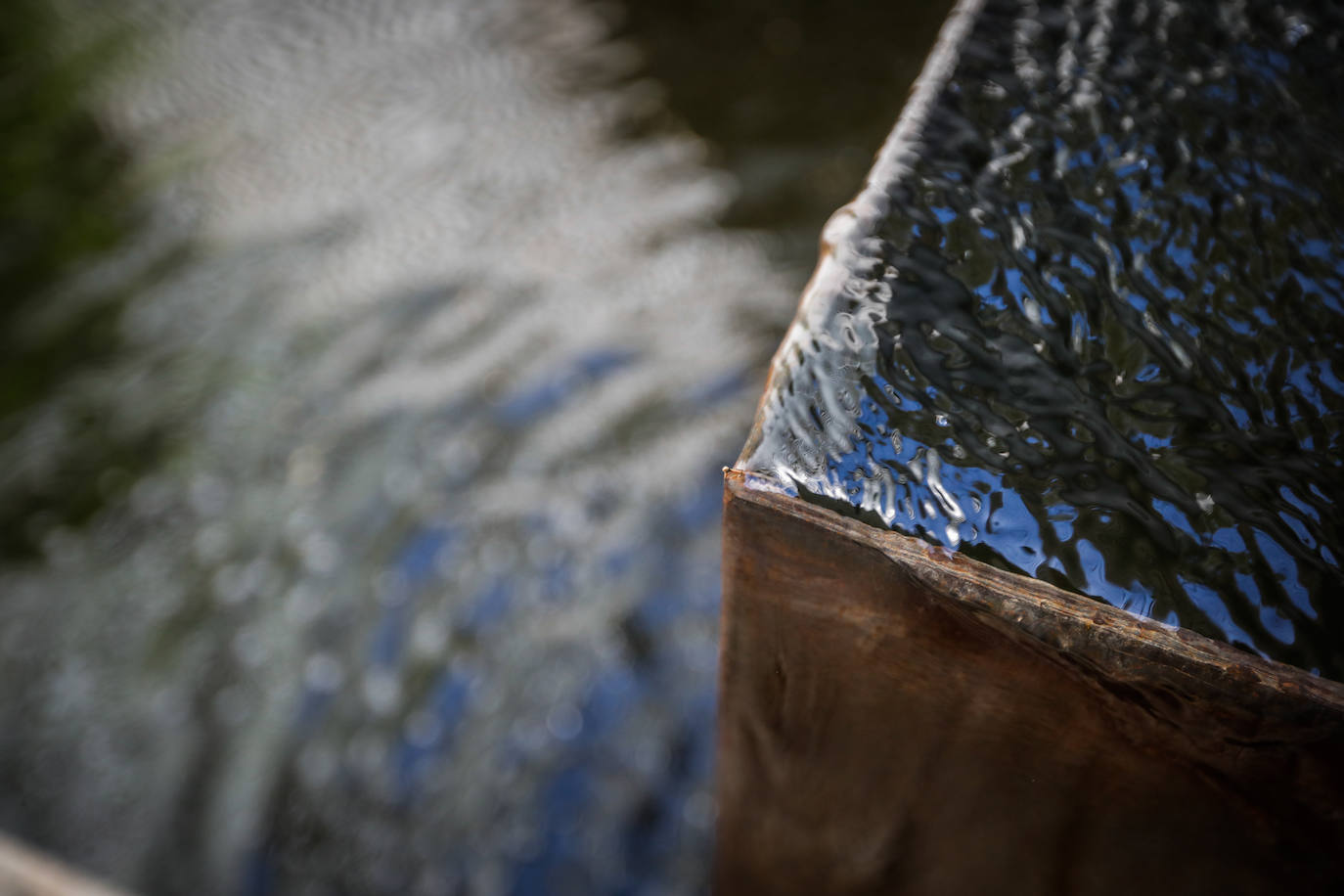 Imagen secundaria 2 - El agua, en el ADN de Casa Acícula. 