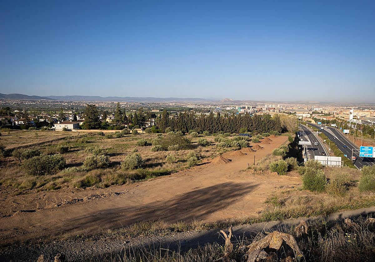 Terrenos en los que el Ayuntamiento y las federaciones española y andaluza de fútbol han proyectado la ciudad deportiva.