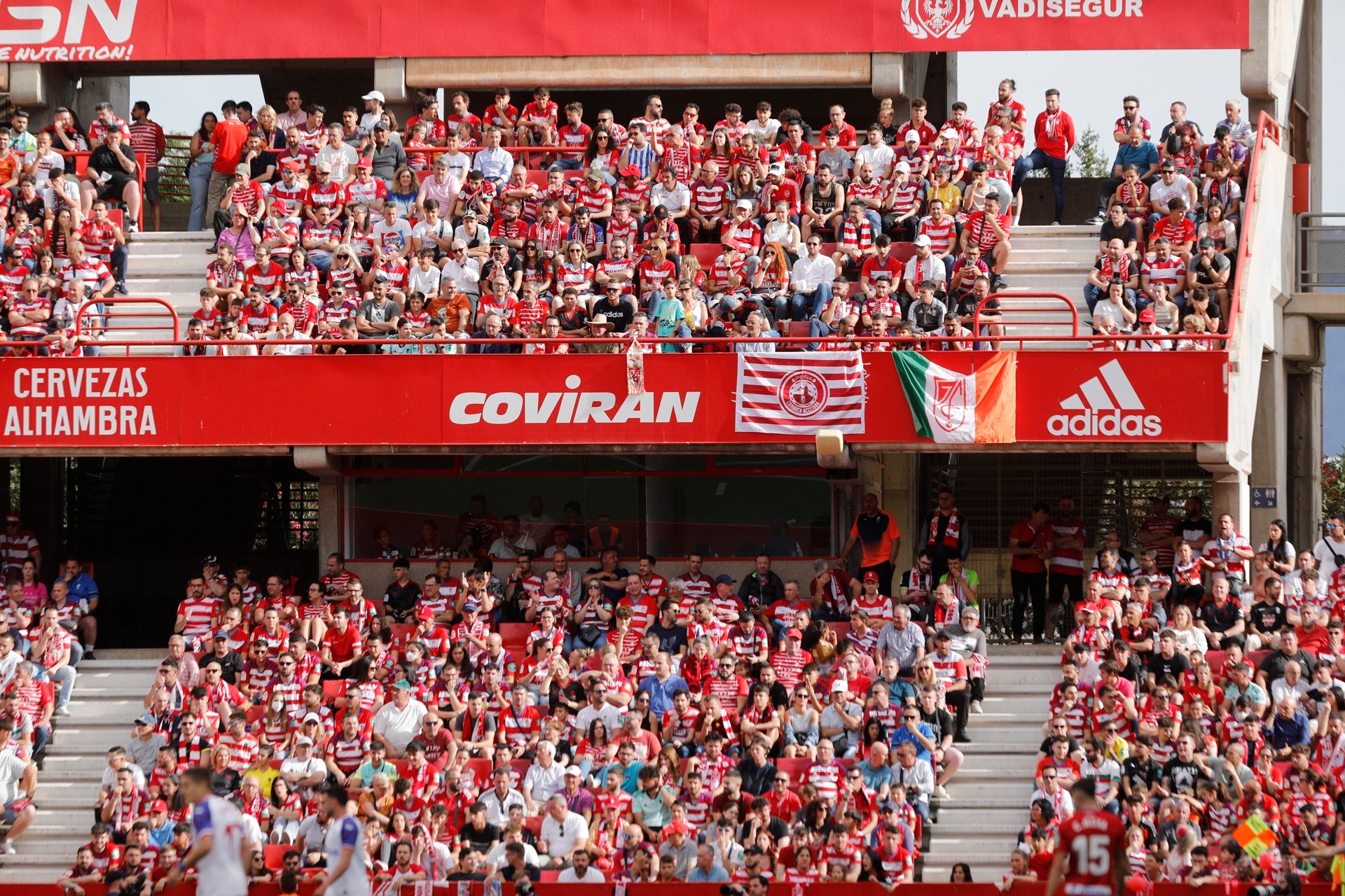 Encuéntrate en la grada en el Granada-Eibar