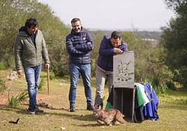 El lince Ramón, Pacheco
