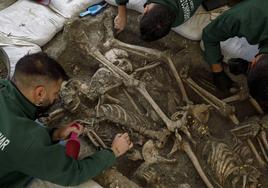 Inicio de la tercera campaña de exhumaciones de víctimas del franquismo en el barranco de Víznar