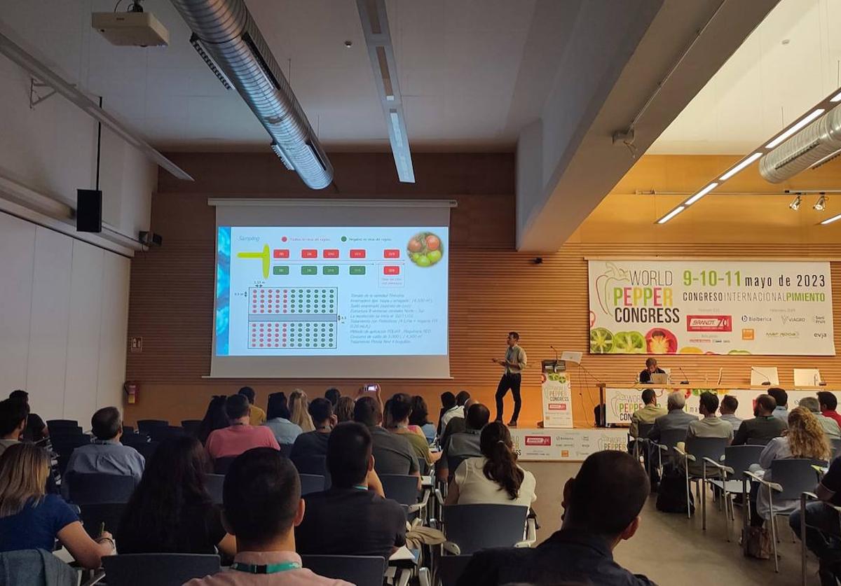 La incidiencia del virus rugoso en solanáceas centra el inicio del world pepper congress | ideal