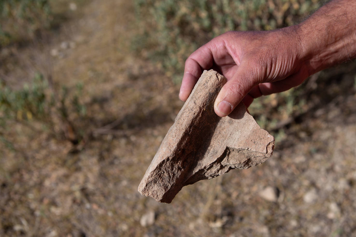 Restos de una teja de una de las 'statios'.