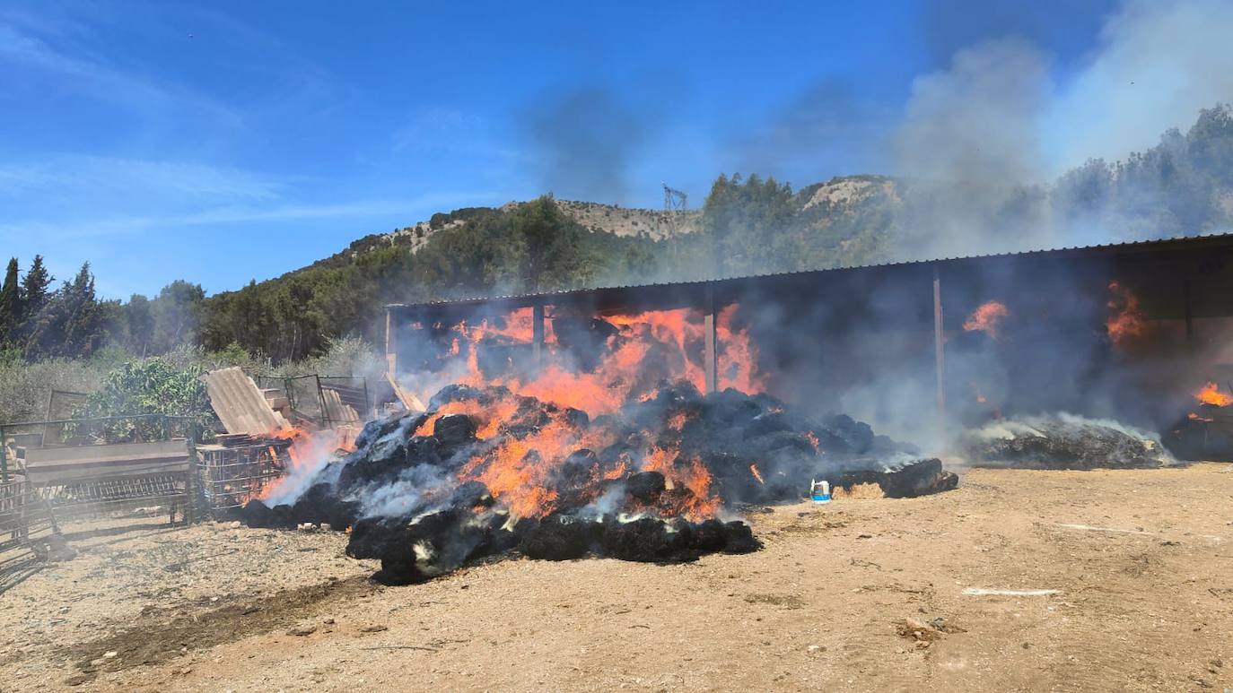 El fuego destruye la nave, ubicada en Alomartes.