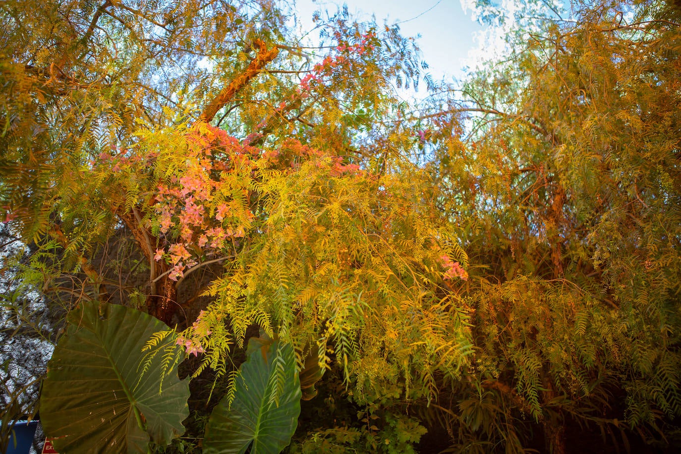 Imagen secundaria 1 - El Jardín de la Copera fusiona el hábitat industrial con la naturaleza y el paisaje. 