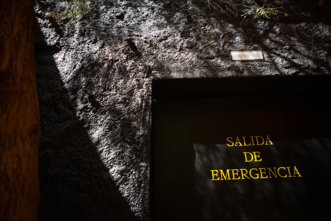 Imagen principal - Luz y texturas. 