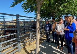 Apertura de la Feria de Ganado de La Carolina, origen de las fiestas patronales.