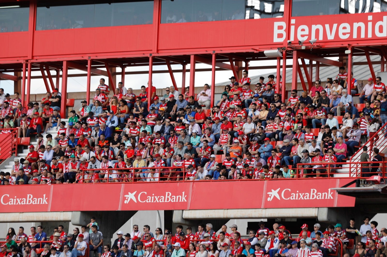 Encuéntrate en la grada en el Granada-Lugo