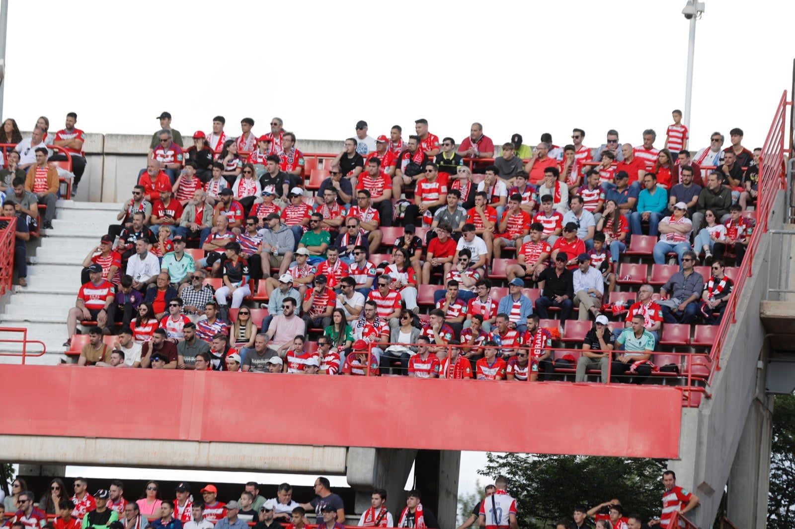 Encuéntrate en la grada en el Granada-Lugo