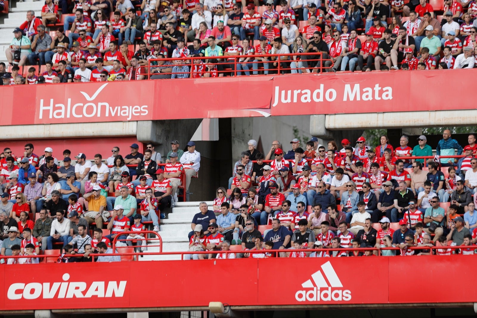 Encuéntrate en la grada en el Granada-Lugo