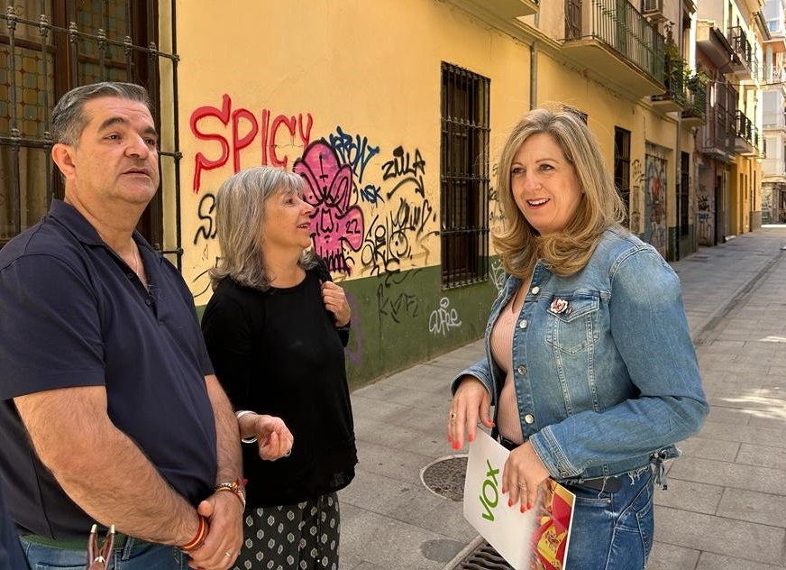 VOX propone endurecer las sanciones por pintadas en los barrios de Granada
