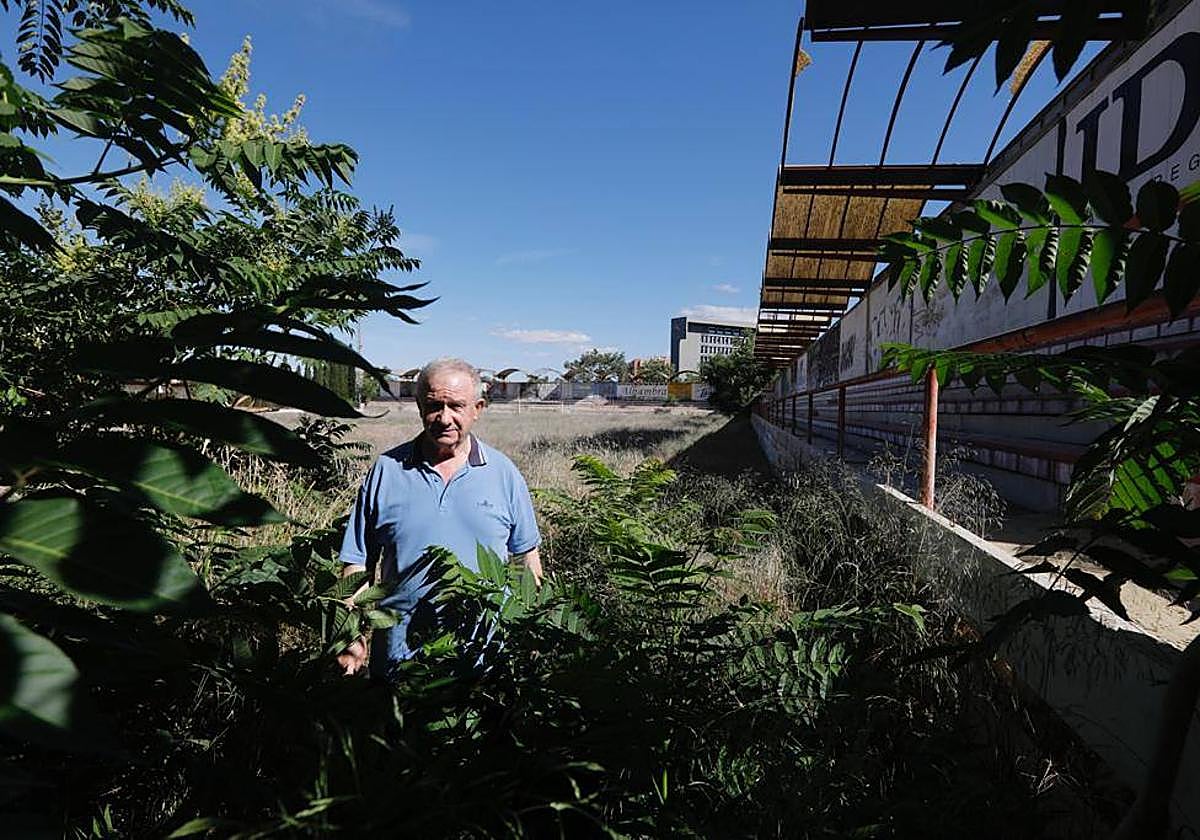 Carlos Marsá, tras las plantas que rodean el antiguo campo de césped de Granada 92.