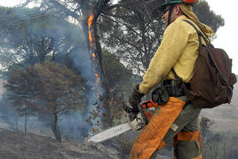 Un bombero forestal sofocando las llamas en un incendio.