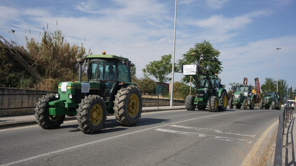 La tractorada en Granada, desde dentro